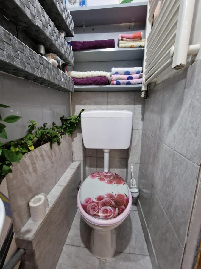Apartament Ultracentral 2 Piata Muzeului Cluj-Napoca Eksteriør bilde