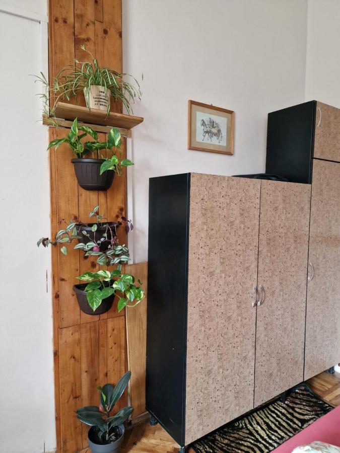 Apartament Ultracentral 2 Piata Muzeului Cluj-Napoca Eksteriør bilde